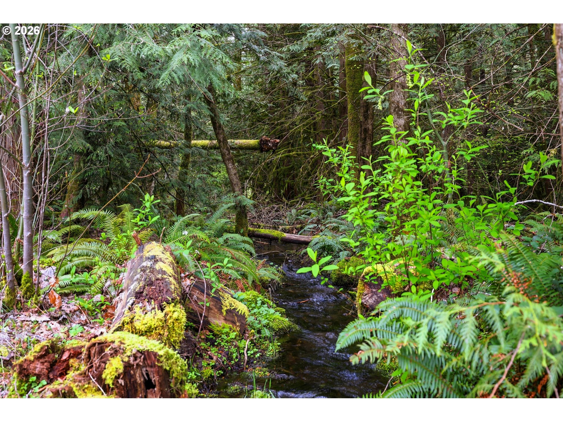 72430 East Smith Loop Rhododendron, OR 97049 - Photo 34 of 44