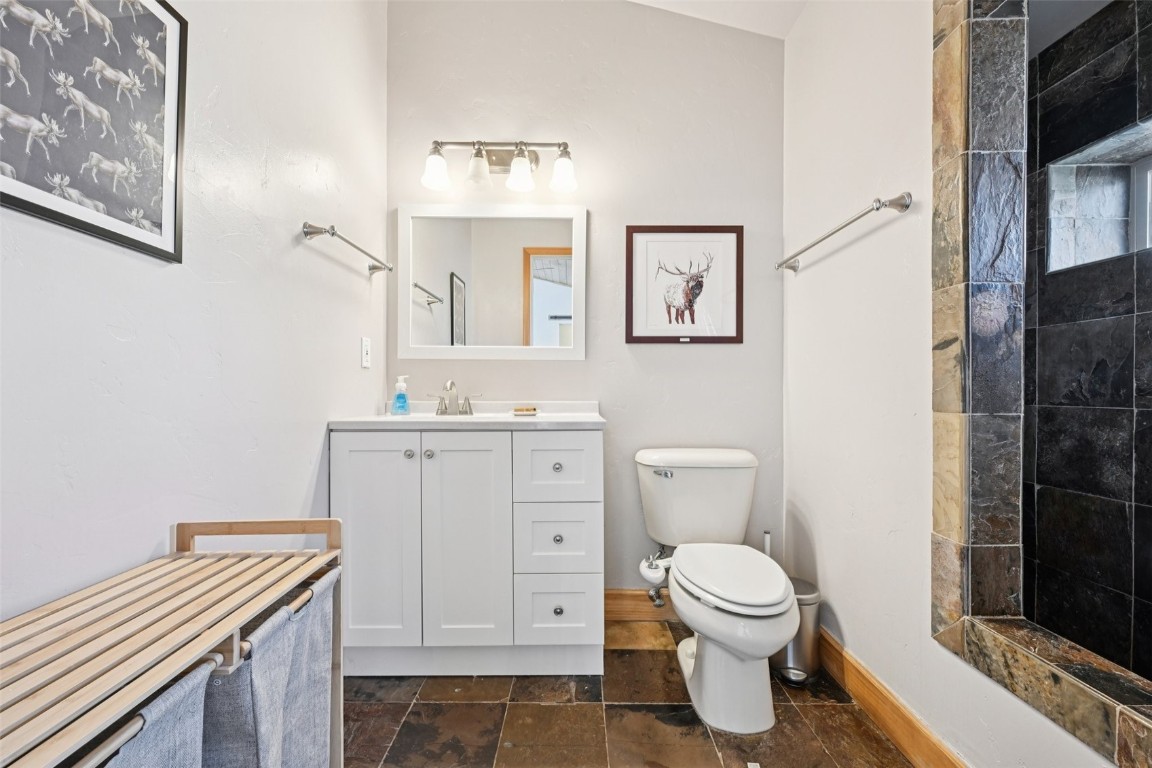 1499 Sheep Ridge Road Fairplay, CO 80440 - Photo 24 of 40 a bathroom with a toilet a sink and a mirror