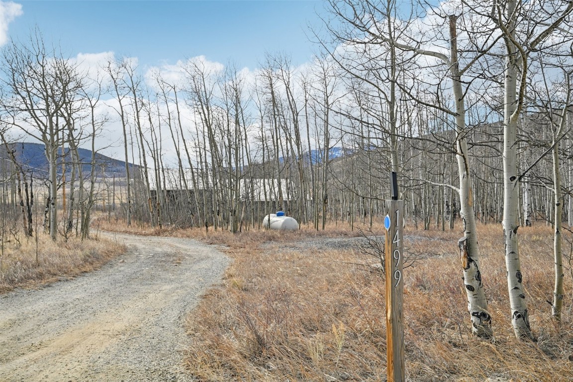 1499 Sheep Ridge Road Fairplay, CO 80440 - Photo 38 of 40 a backyard of a house with large trees and wooden fence