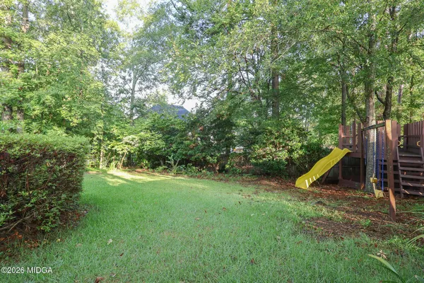 a view of a backyard with a slide and a tree