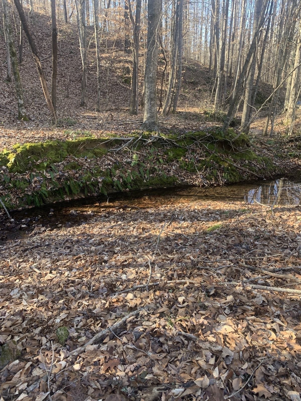 1252 Kelly Road Centerville, TN 37033 - Photo 3 of 13