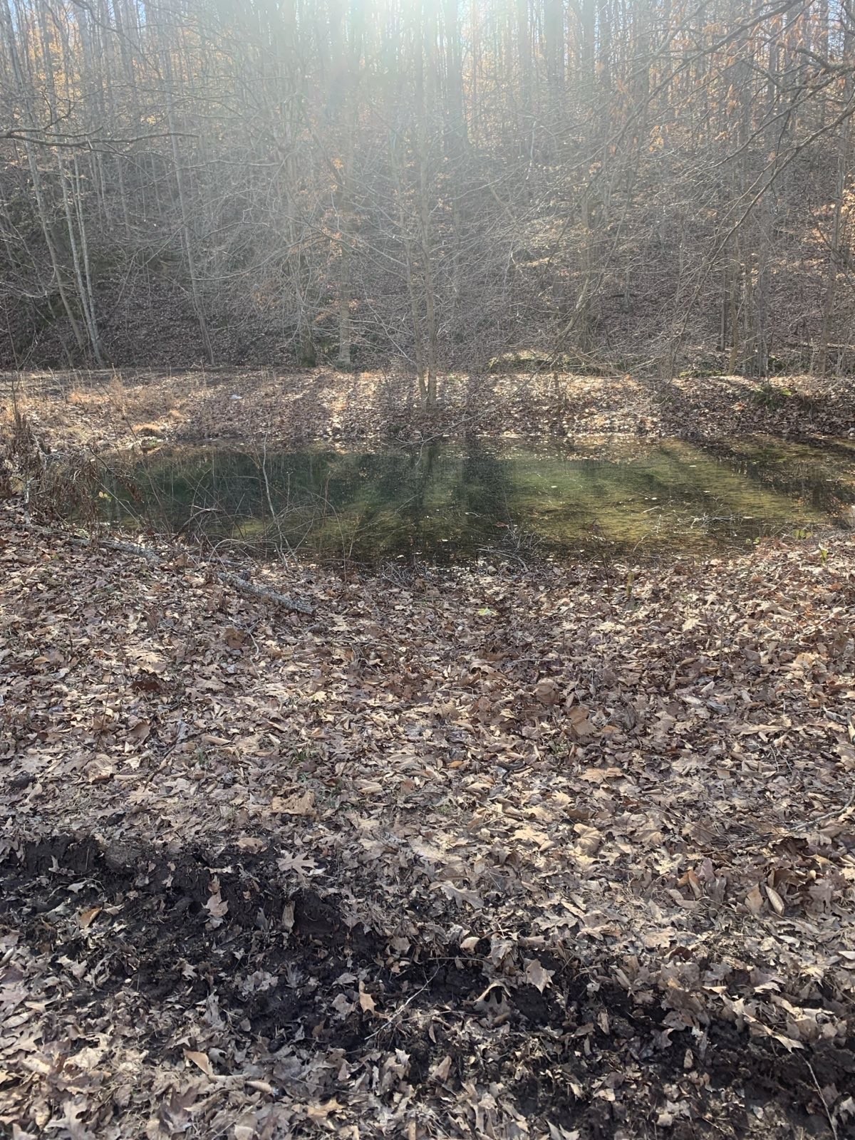 1252 Kelly Road Centerville, TN 37033 - Photo 4 of 13