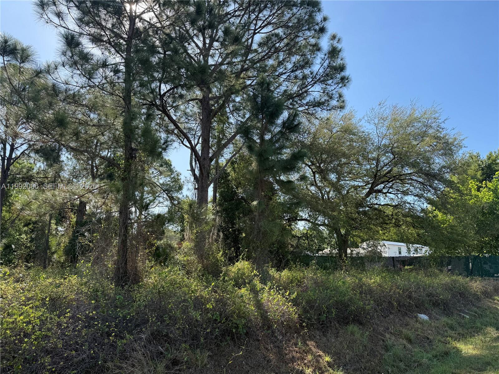 425 South Datil Street Clewiston, FL 33440 - Photo 2 of 5 a view of a lake in a forest