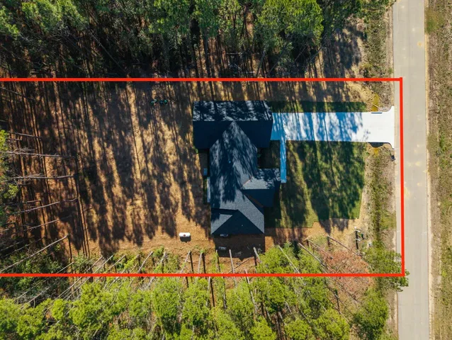 a view of a forest with trees