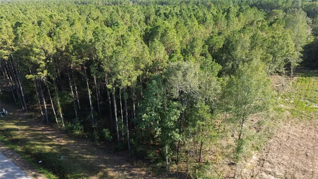 a view of a forest with a yard