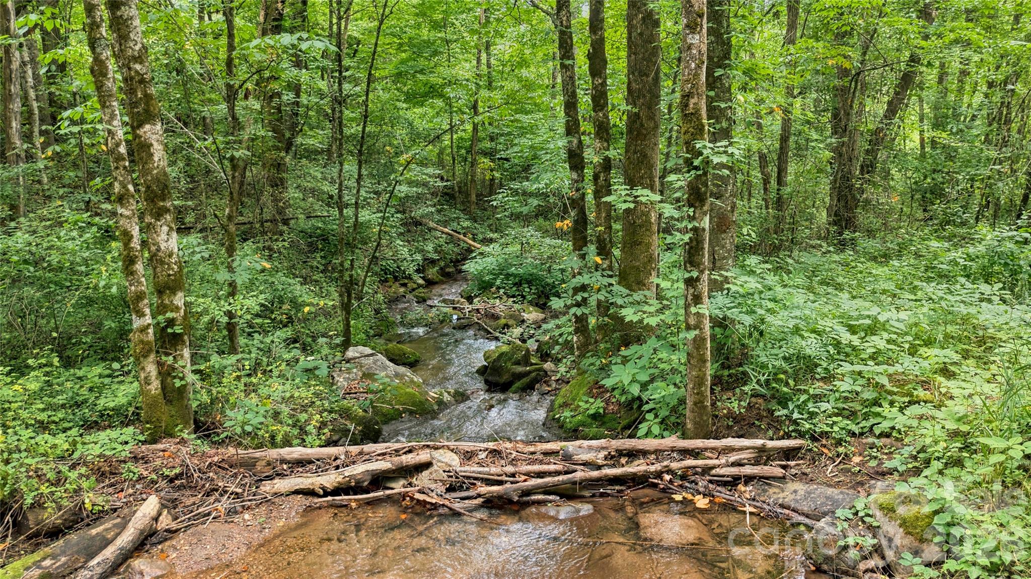 0 Fisher Creek Road Sylva, NC 28779 - Photo 11 of 18