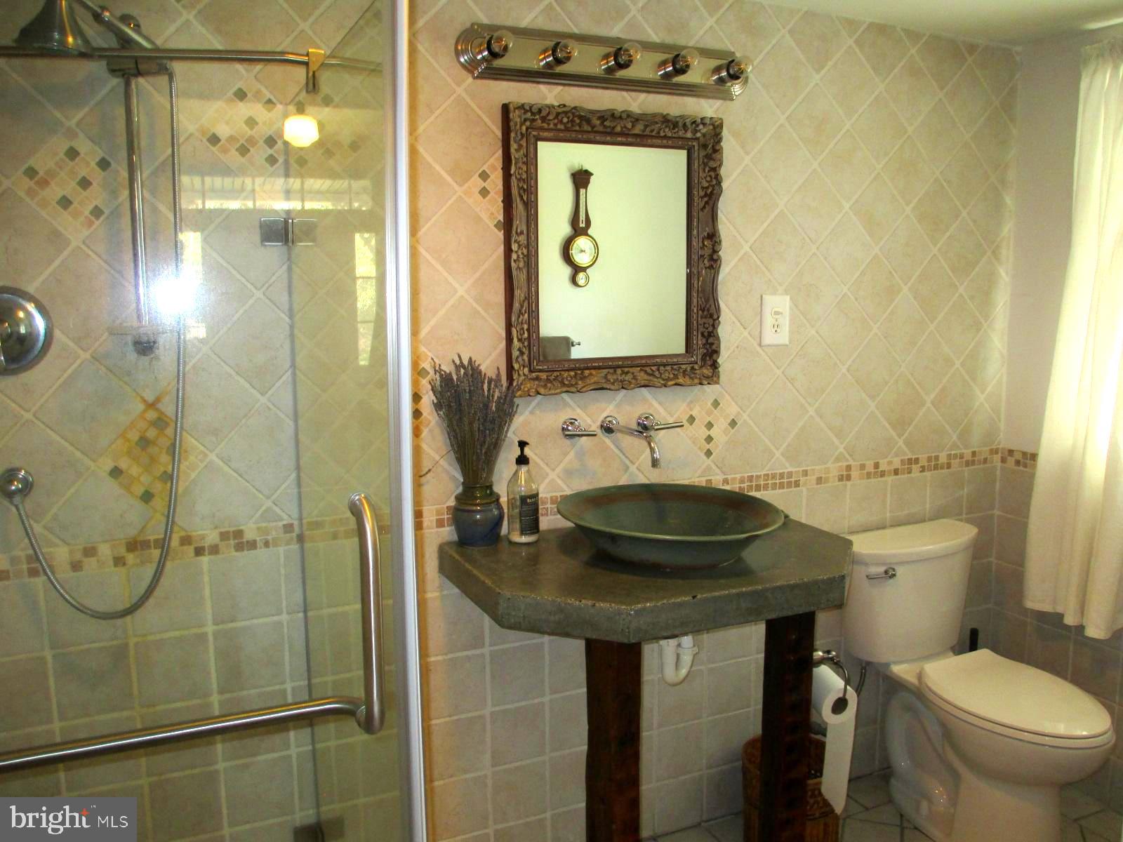 8355 Broad Neck Road Chestertown, MD 21620 - Photo 18 of 33 a bathroom with a sink a toilet and shower