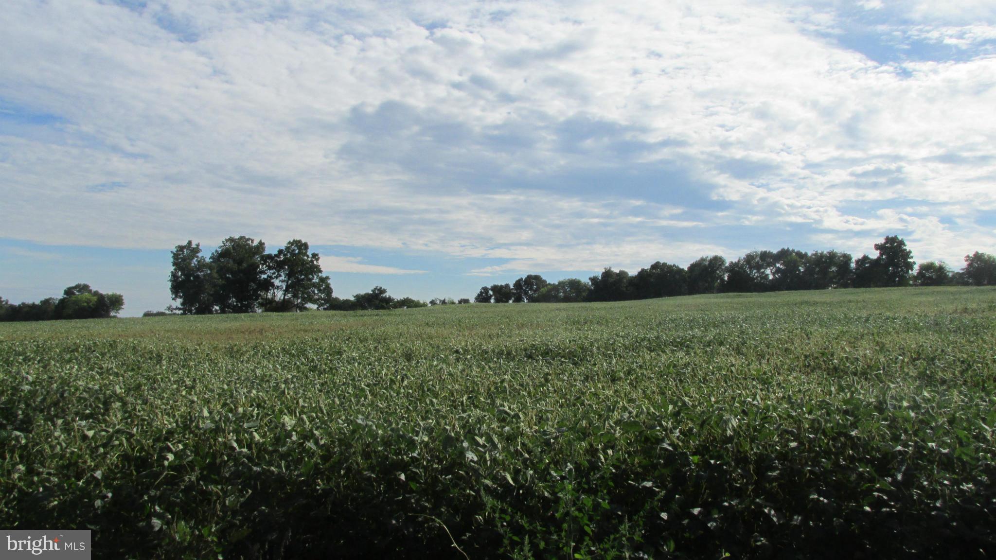 Lot 1 6.4 Acres