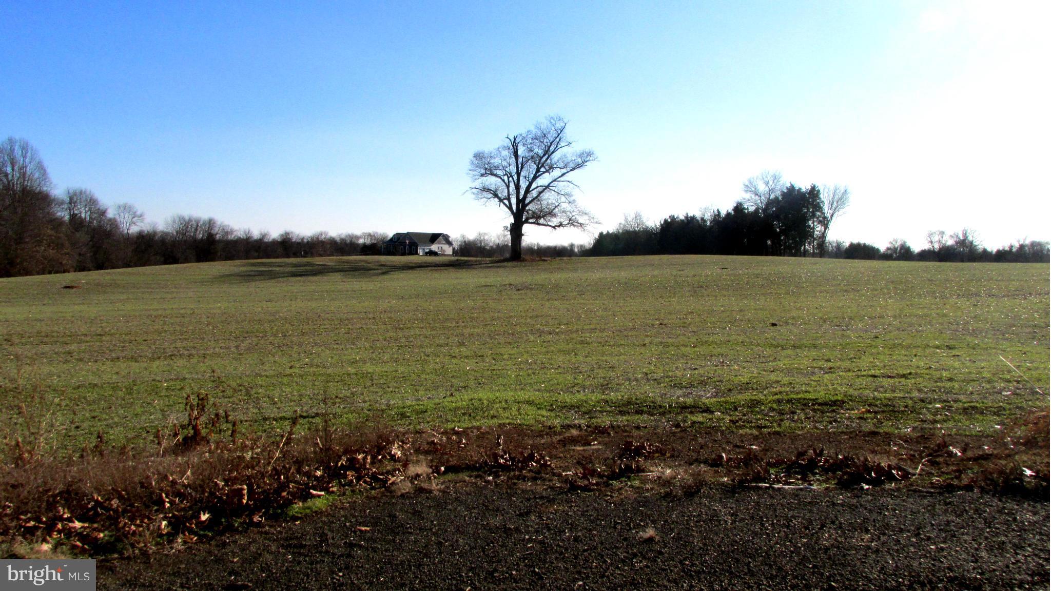 View- pastoral views