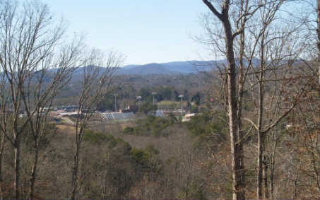 Main View