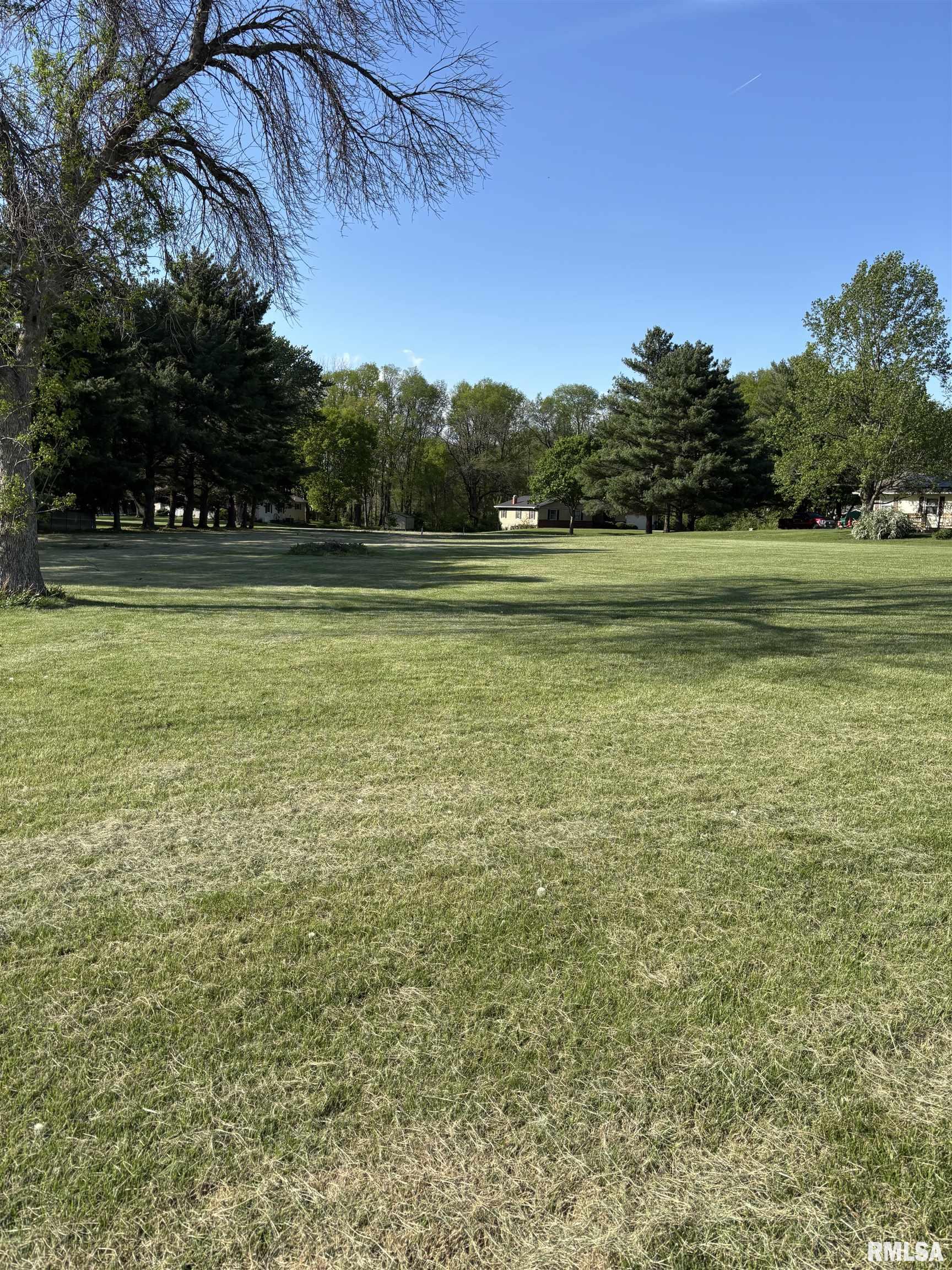 0 West Point Drive Jacksonville, IL 62650 - Photo 3 of 5