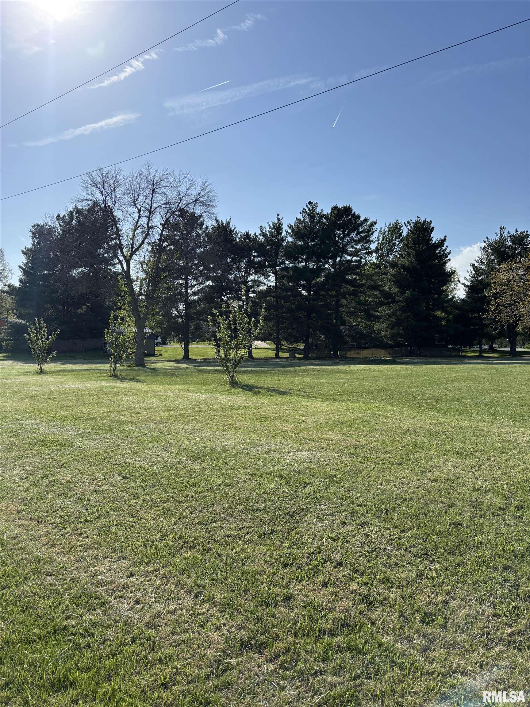 0 West Point Drive Jacksonville, IL 62650 - Photo 4 of 5