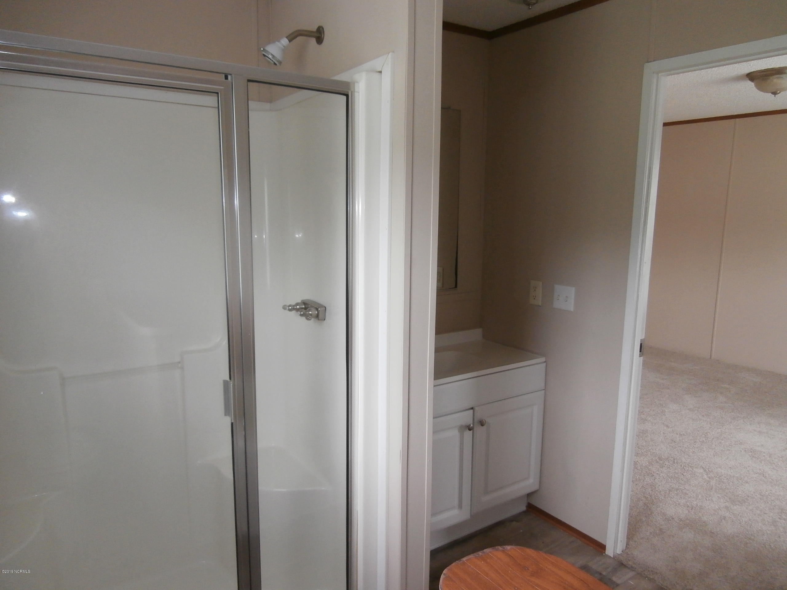 207 Shearin Dead End Road Littleton, NC 27850 - Photo 13 of 21 Master Bath view 1