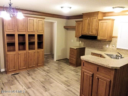 207 Shearin Dead End Road Littleton, NC 27850 - Photo 3 of 21 Kitchen view 2'