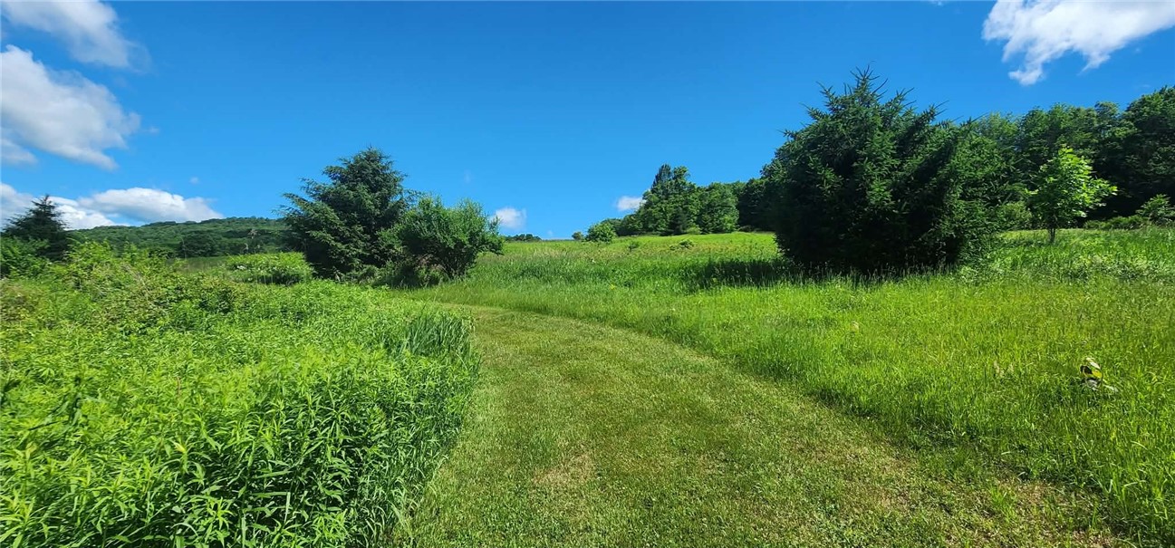 1052 County Highway Walton, NY 13856 - Photo 42 of 48