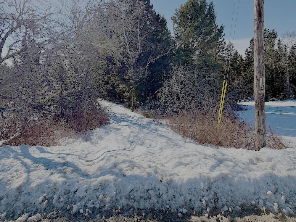 Lot #24 Looks Point Road Jonesboro, ME 04648 - Photo 15 of 19 Driveway From Road