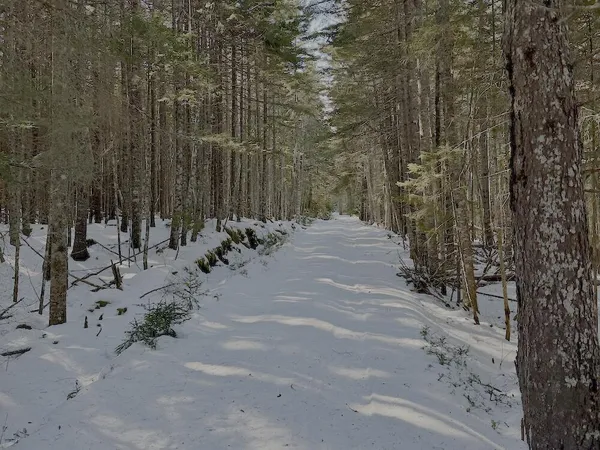 $200,000 | Lot #24 Looks Point Road, Jonesboro, ME 04648