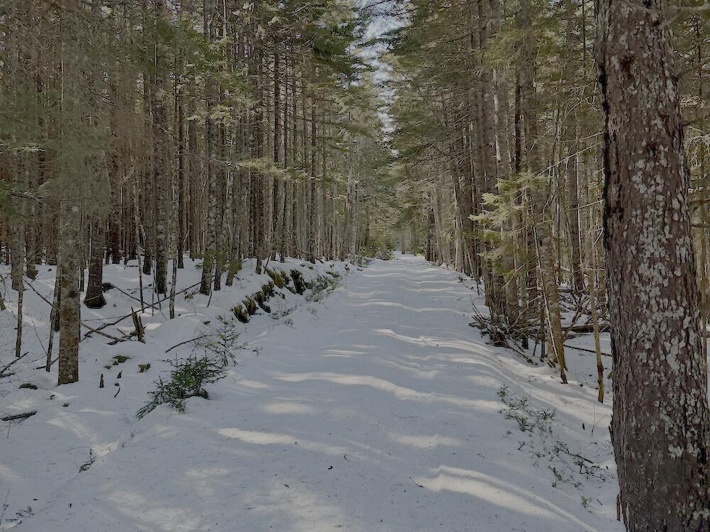 Lot #24 Looks Point Road Jonesboro, ME 04648 - Photo 16 of 19 Driveway Thru Lot