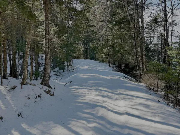 $200,000 | Lot #24 Looks Point Road, Jonesboro, ME 04648