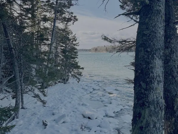 $200,000 | Lot #24 Looks Point Road, Jonesboro, ME 04648