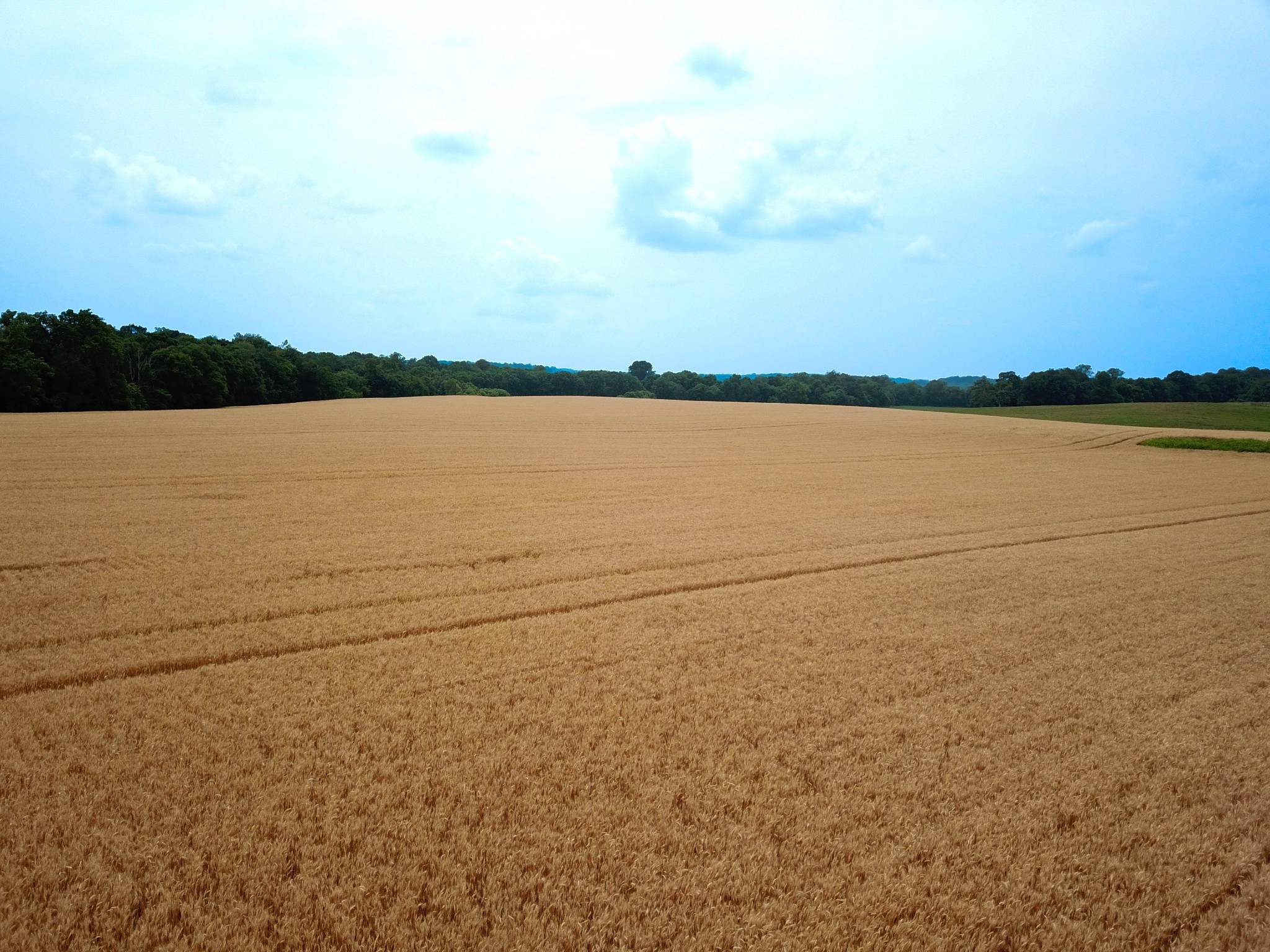 597 Prices Mill Road Adairville, KY 42202 - Photo 11 of 18 a view of an ocean
