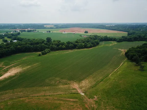 a view of a field with an ocean
