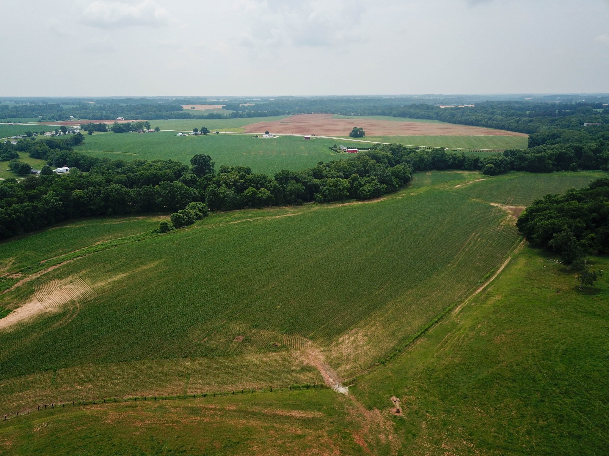 597 Prices Mill Road Adairville, KY 42202 - Photo 14 of 18 a view of a field with an ocean