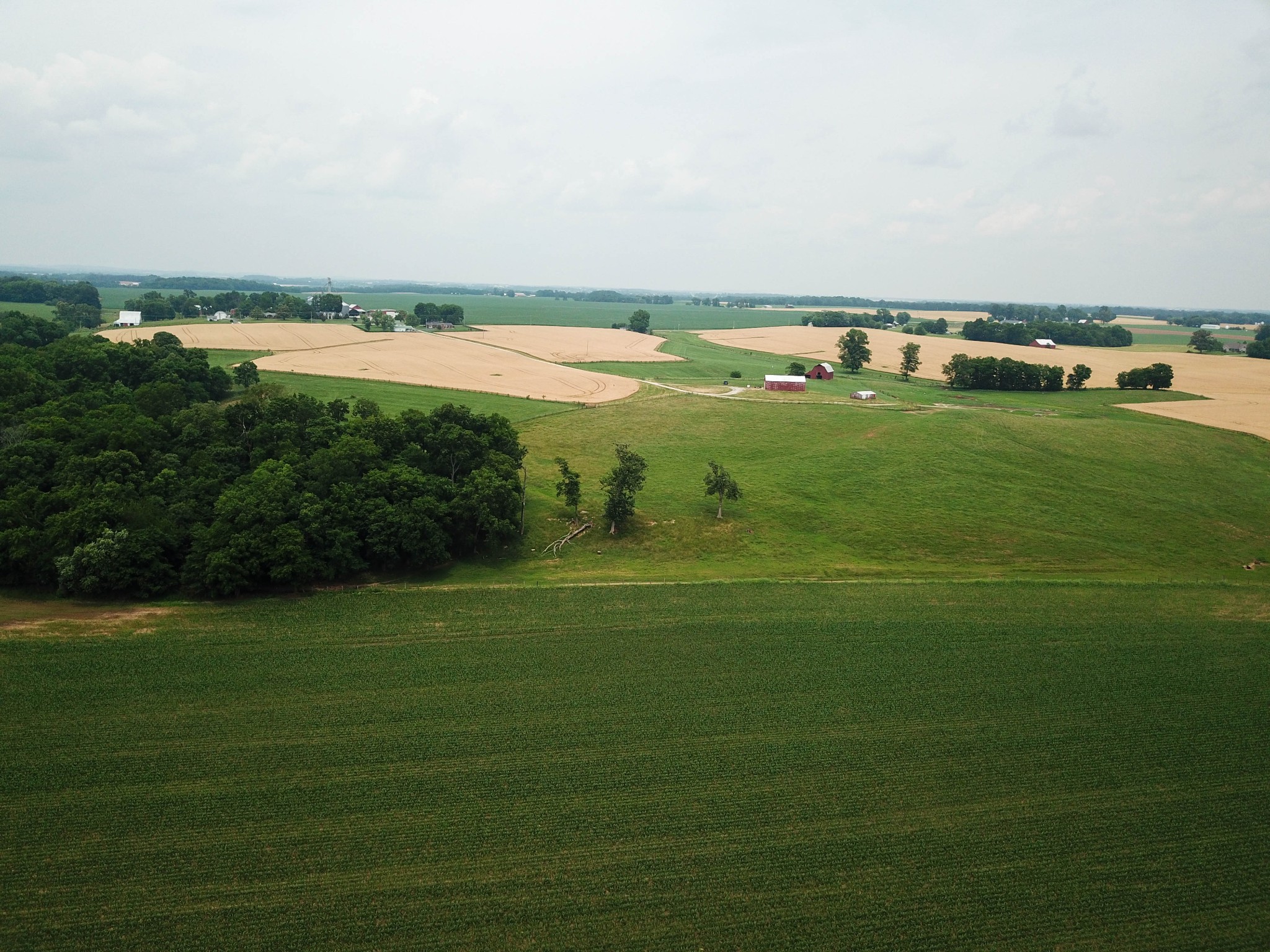 597 Prices Mill Road Adairville, KY 42202 - Photo 15 of 18 a view of a field with an ocean view