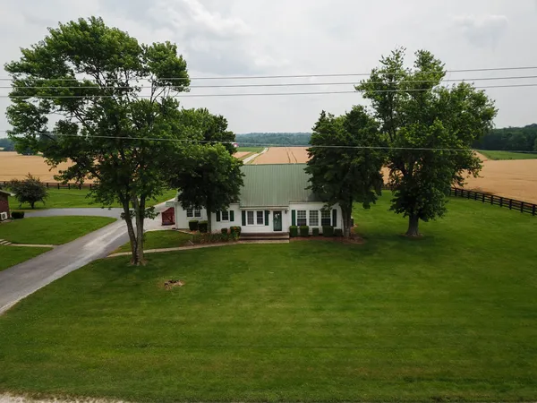 a view of a park with large trees