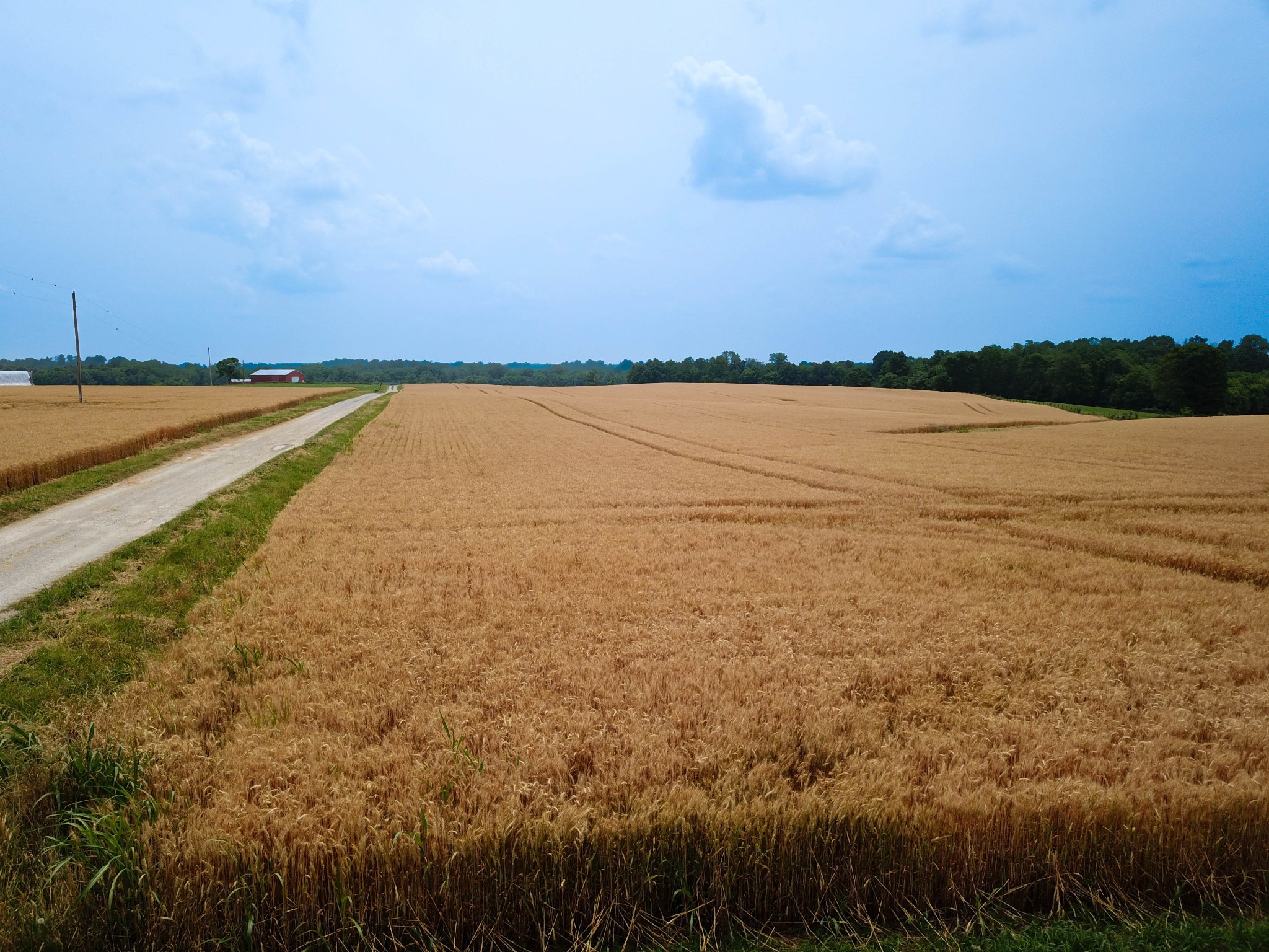 597 Prices Mill Road Adairville, KY 42202 - Photo 7 of 18 a view of an ocean