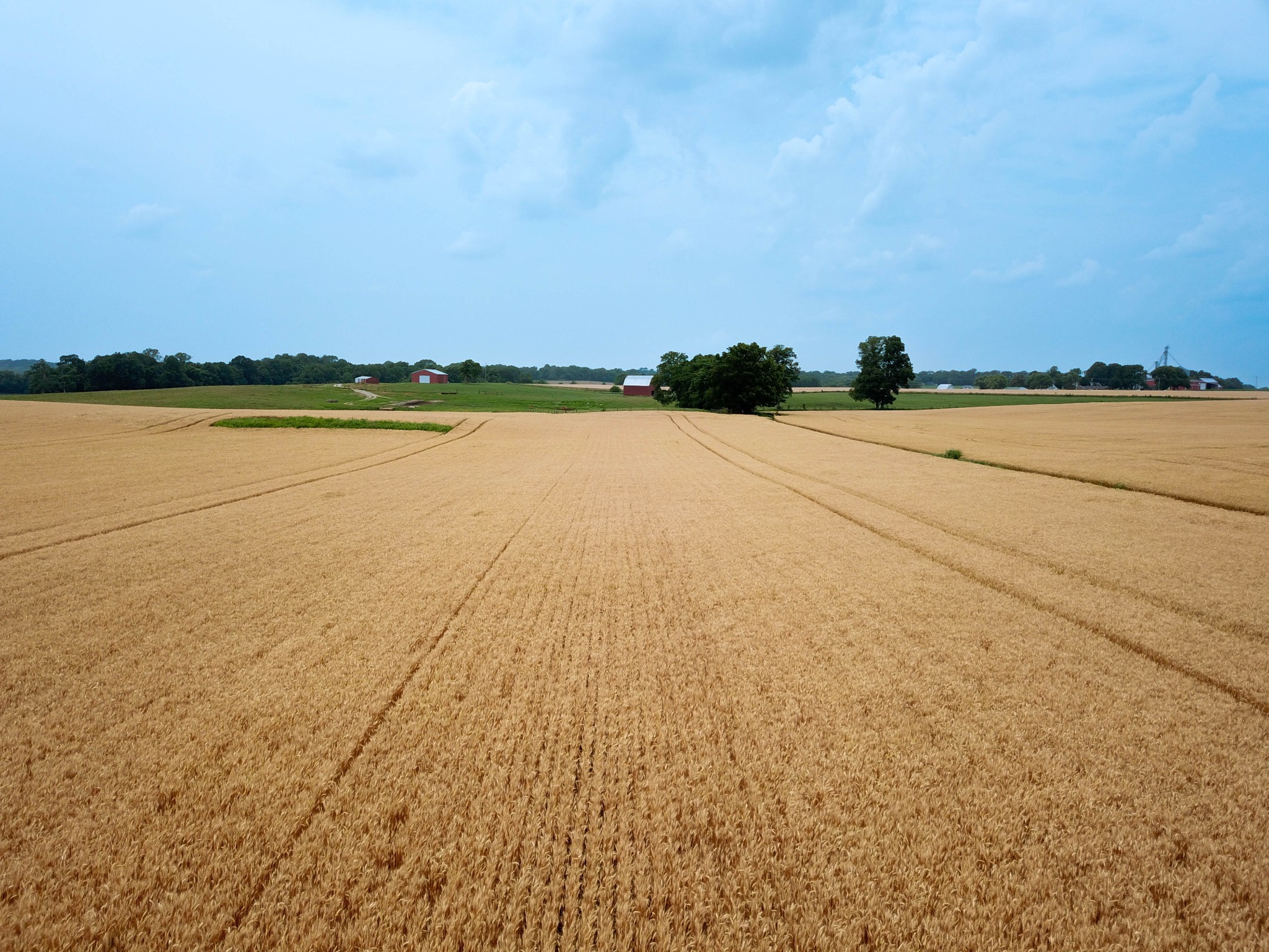 597 Prices Mill Road Adairville, KY 42202 - Photo 10 of 18 a view of an ocean