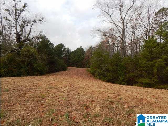 401 Beasley Road Gardendale, AL 35071 - Photo 12 of 15
