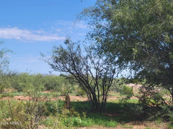 $89,000 | 70-acres North 70-acres N Tbd N Acorn Place, Unit 10323005, McNeal, AZ 85617
