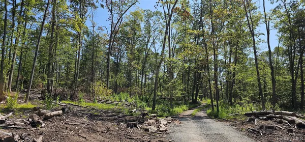 a view of outdoor space and trees