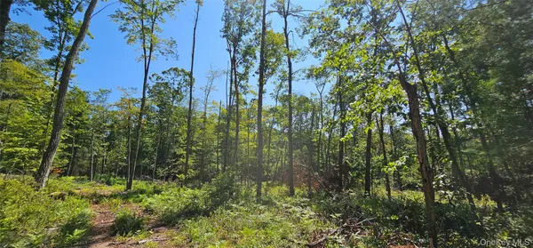 a view of a yard with plants and trees