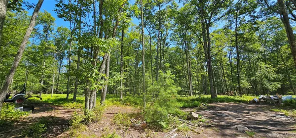 a view of yard