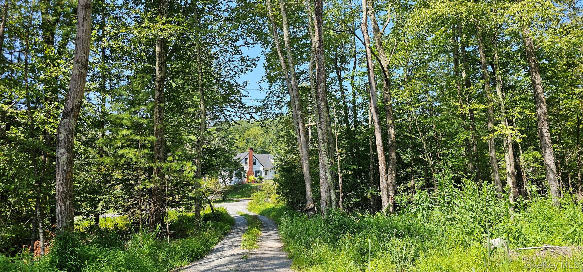 Lot 8.1 Eckes Road Narrowsburg, NY 12764 - Photo 16 of 23 a backyard of a house with lots of green space