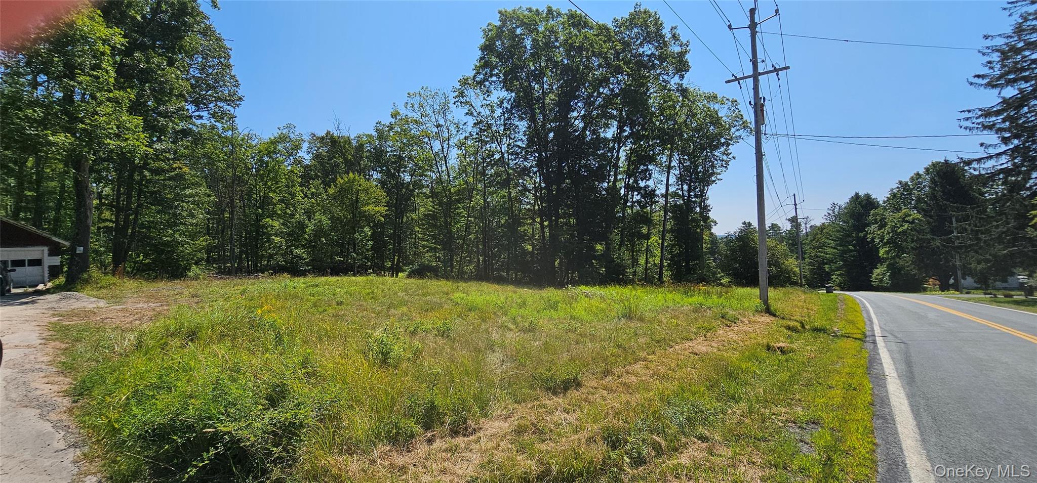 Lot 8.1 Eckes Road Narrowsburg, NY 12764 - Photo 19 of 23 a view of outdoor space and yard