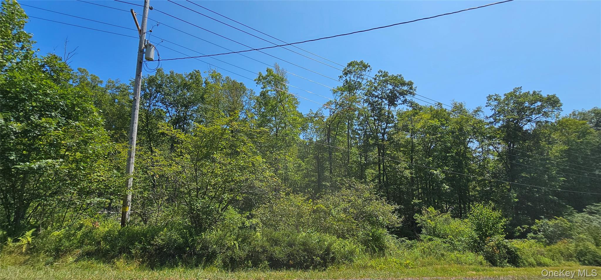 Lot 8.1 Eckes Road Narrowsburg, NY 12764 - Photo 20 of 23 a view of a yard