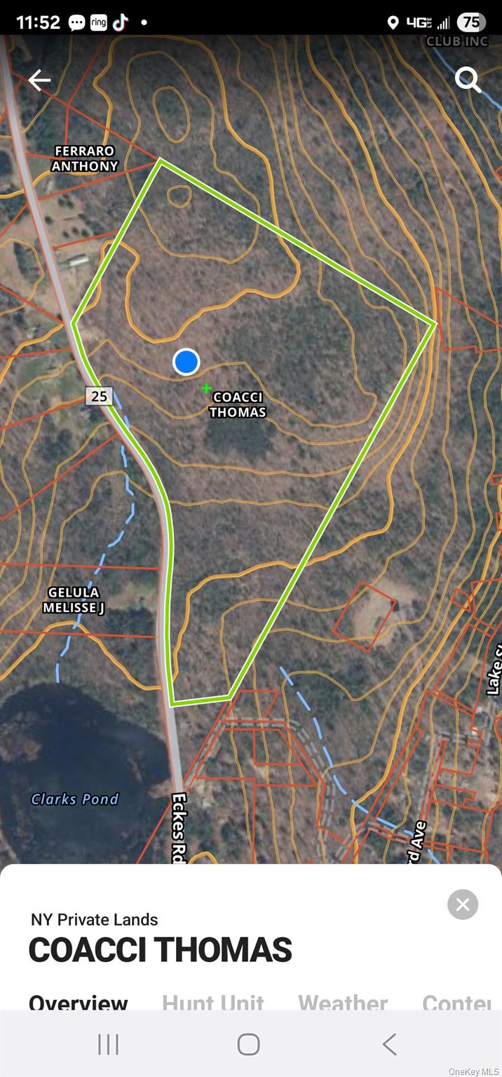 Lot 8.1 Eckes Road Narrowsburg, NY 12764 - Photo 23 of 23 a picture of a tennis court