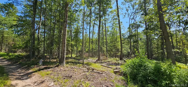 a view of backyard of a house