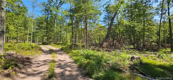 a view of outdoor space and trees