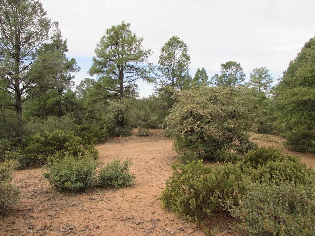 1404 East Graham Rnch Trail Payson, AZ 85541 - Photo 3 of 7 Gallery Image 3