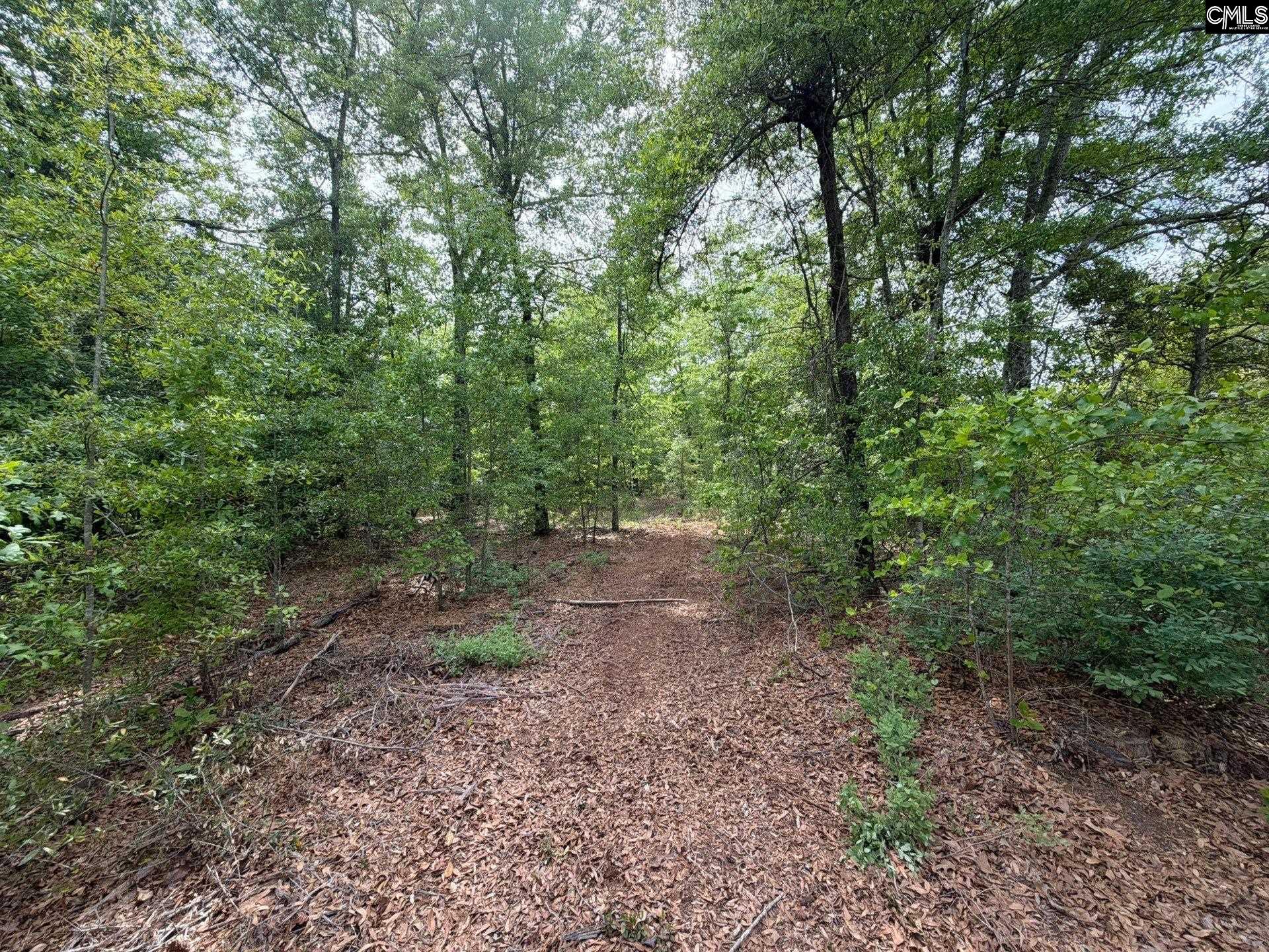 2 Rogers Cemetery Road Aiken, SC 29801 - Photo 26 of 26