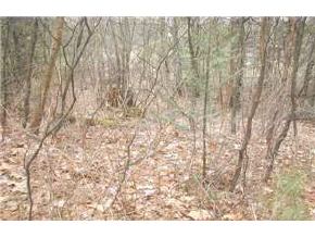 0 Pine Spur Road Lyman, NH 03585 - Photo 2 of 4
