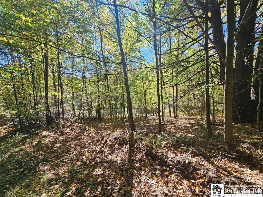 0 Willow Brook Road Little Genesee, NY 14754 - Photo 11 of 20