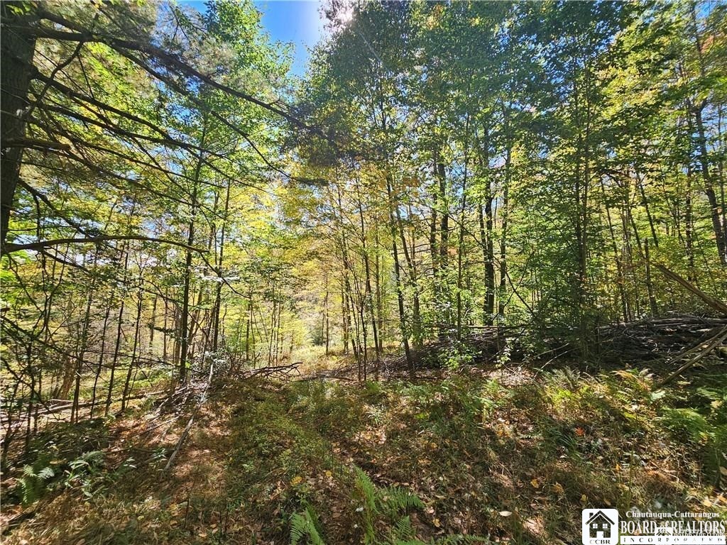 0 Willow Brook Road Little Genesee, NY 14754 - Photo 12 of 20