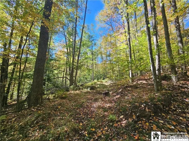 $175,000 | 0 Willow Brook Road, Little Genesee, NY 14754