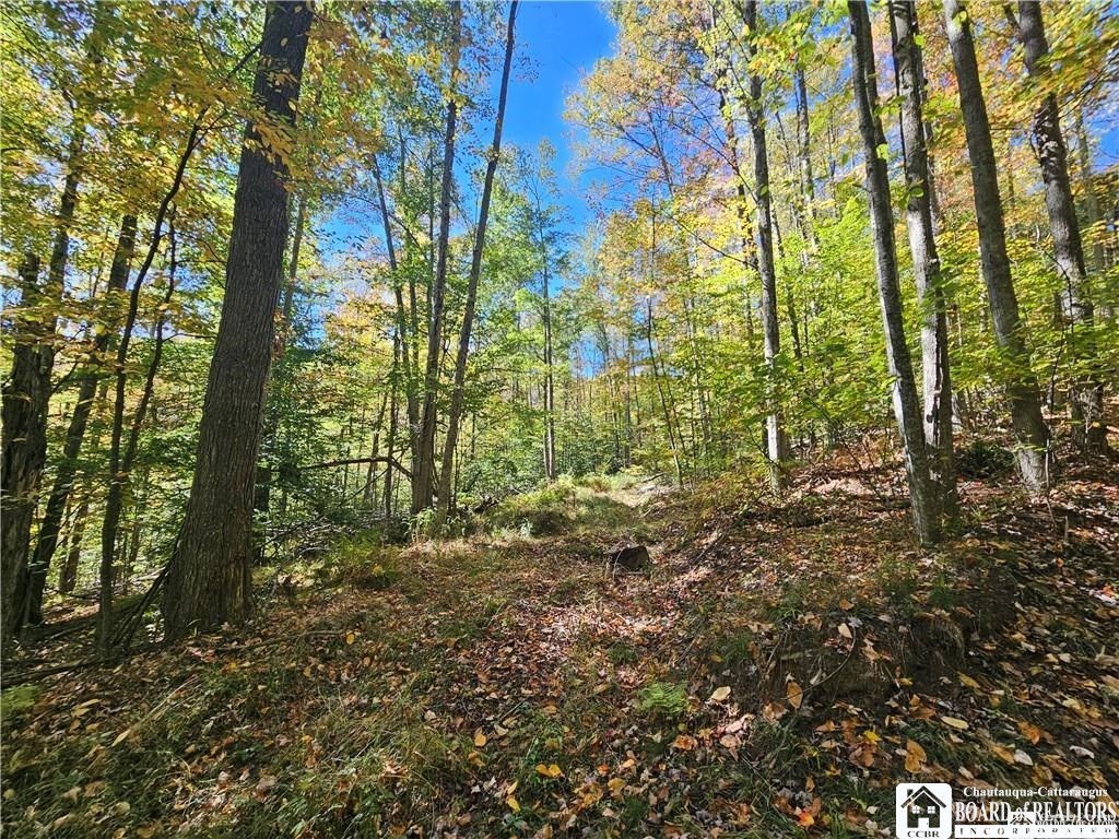 0 Willow Brook Road Little Genesee, NY 14754 - Photo 13 of 20