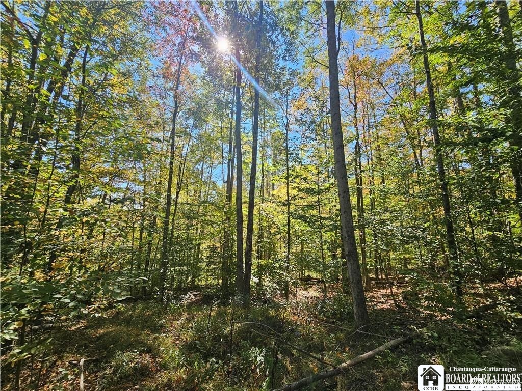 0 Willow Brook Road Little Genesee, NY 14754 - Photo 14 of 20